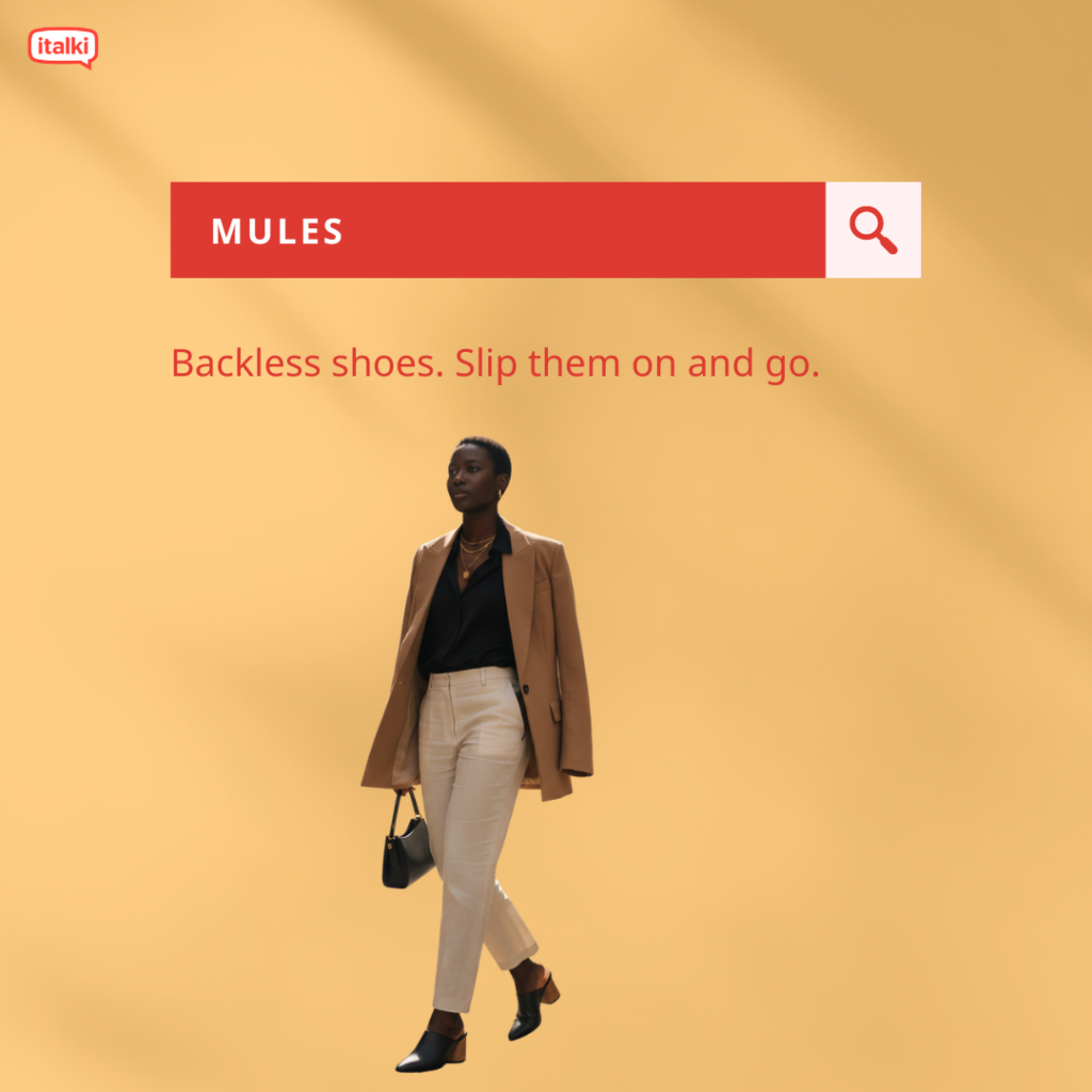 Mules definition card