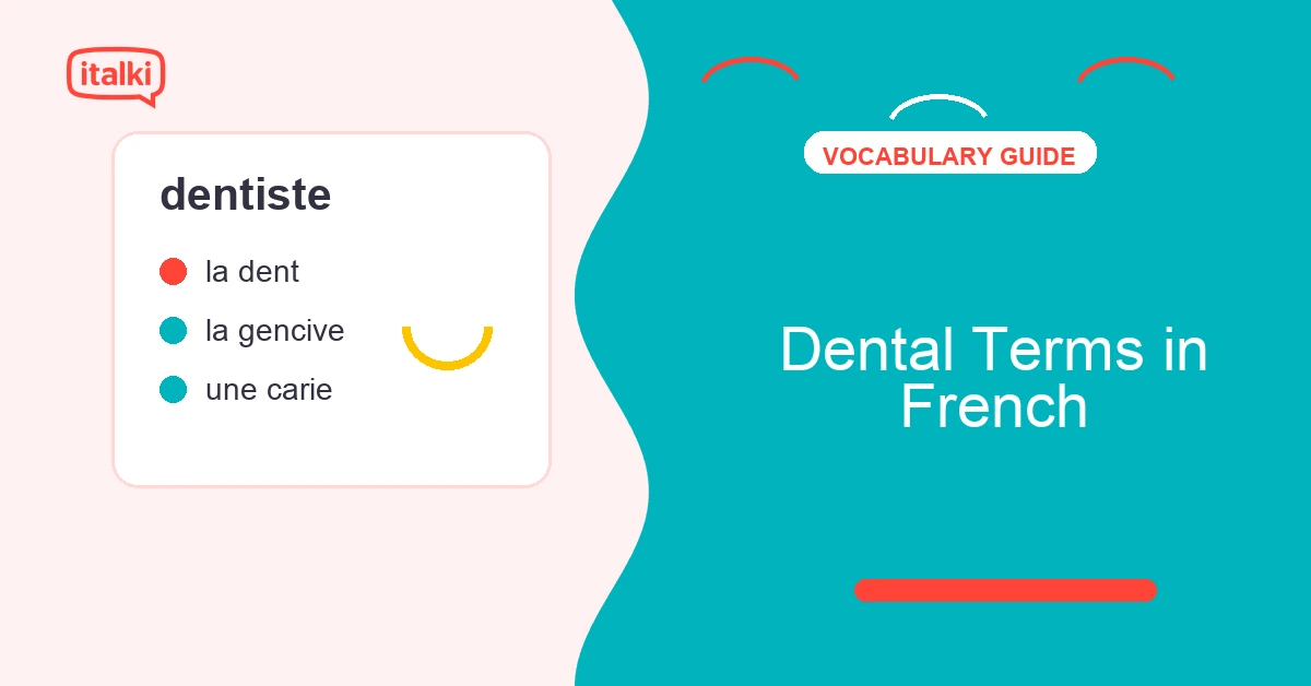 Dental terms in French featured image with dentist vocabulary notes