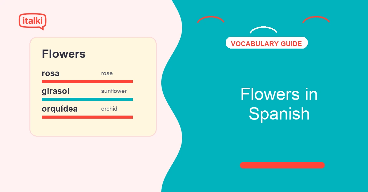 Flowers in Spanish featured image with italki-style vocabulary practice card