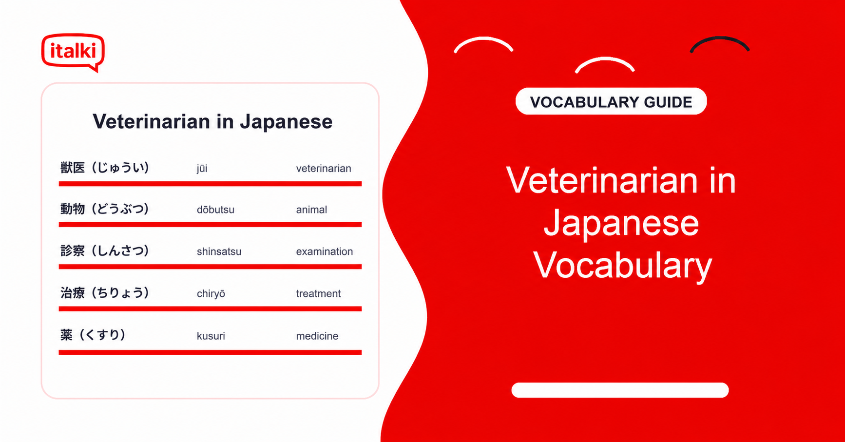 How to Go to the Veterinarian in Japanese: Key Phrases, Vocabulary, and Practical Tips