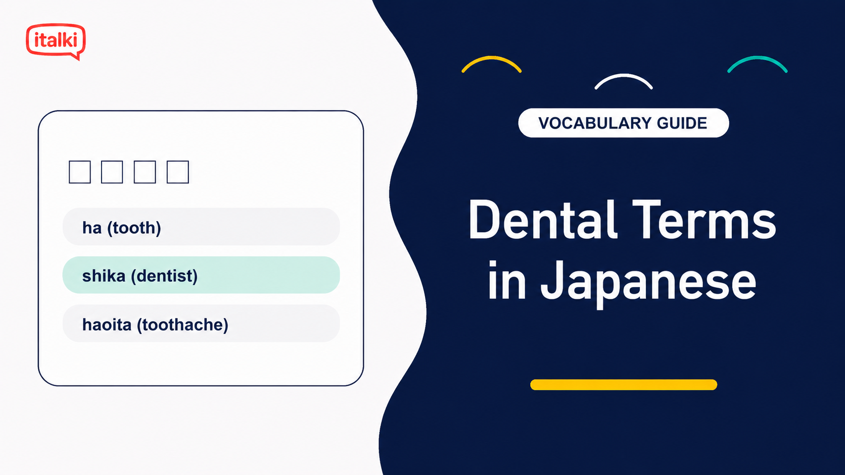 Dental Terms in Japanese: Words and Phrases for Stress-Free Visits