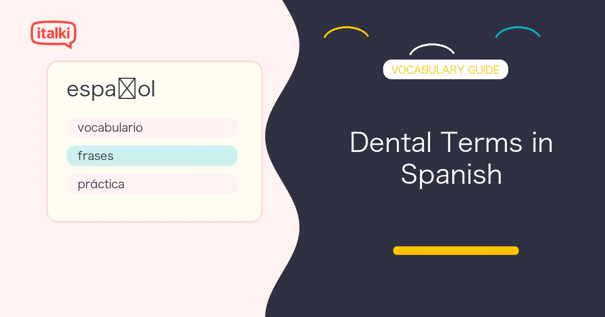Dental Terms in Spanish: Clear Vocabulary to Connect with Patients feature image