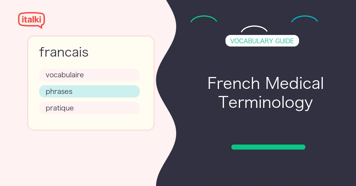 French Medical Terminology: 175 Essential Words and Phrases feature image