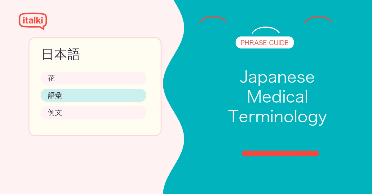 Japanese Medical Terminology: 150 Essential Phrases feature image