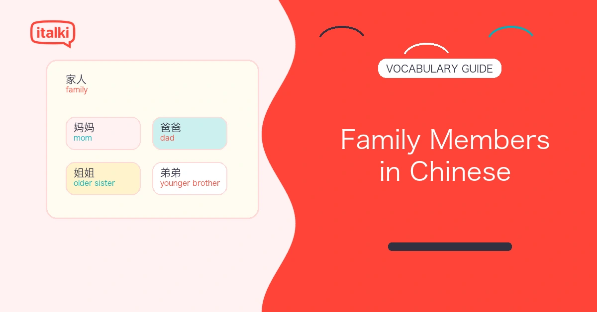 Family Members in Chinese: Essential Words, Phrases, and Examples feature image