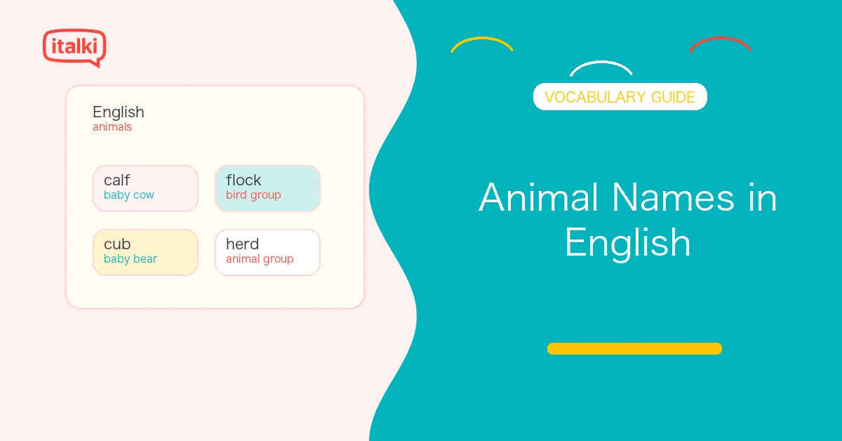 Animal Names in English: 150+ Common Animals with Examples feature image