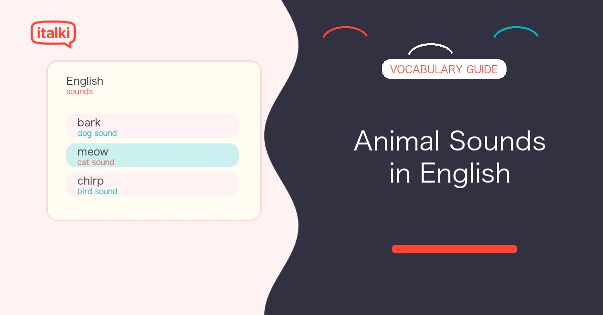 English Words for Animal Sounds: A Complete Guide feature image