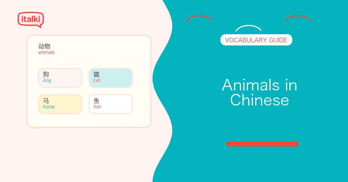 Animals in Chinese: Essential Words, Phrases, and Examples feature image